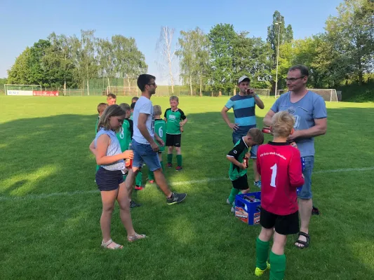03.06.2019 VfB Leisnig vs. SG Sermuth Großb.