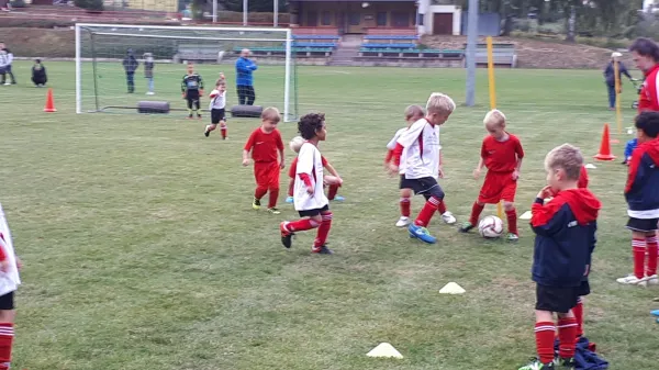 28.09.2018 VfB Leisnig vs. SG Sermuth Großb.