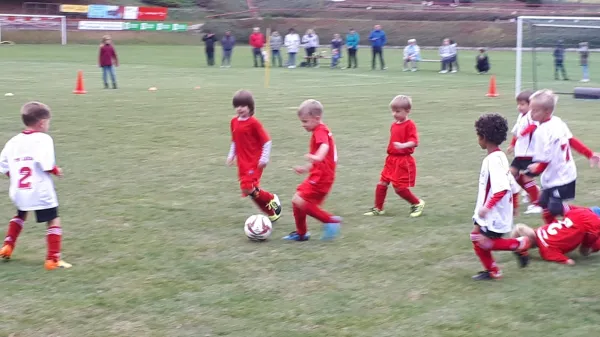 28.09.2018 VfB Leisnig vs. SG Sermuth Großb.