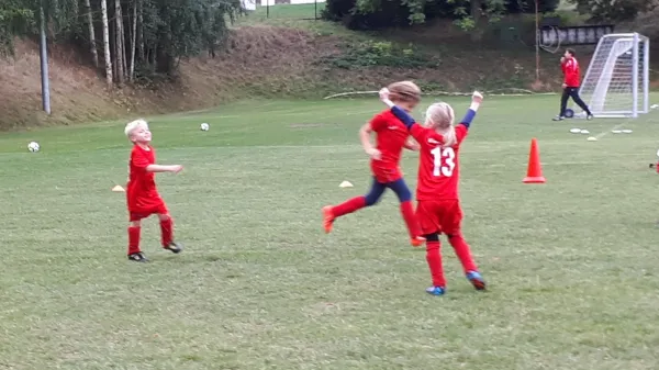 28.09.2018 VfB Leisnig vs. SG Sermuth Großb.