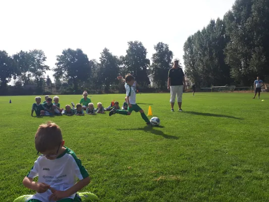 01.09.2019 SV Tresenwald vs. SG Sermuth Großb.