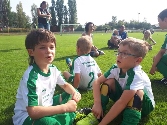 01.09.2019 SV Tresenwald vs. SG Sermuth Großb.