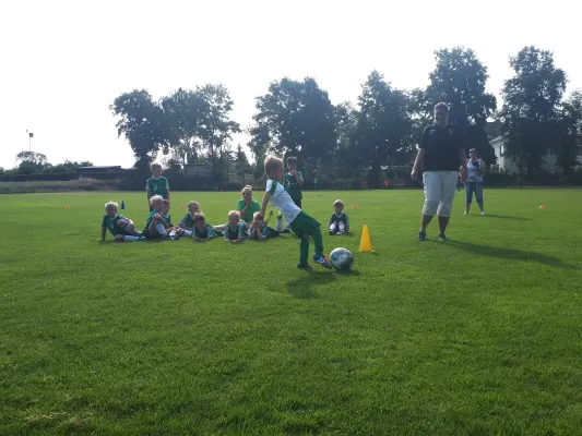 01.09.2019 SV Tresenwald vs. SG Sermuth Großb.
