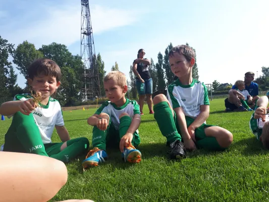 01.09.2019 SV Tresenwald vs. SG Sermuth Großb.